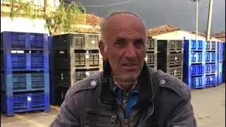 Klan News - Moll&euml;t e Kor&ccedil;&euml;s po kalben n&euml; fusha
