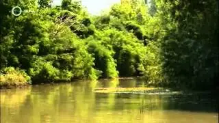 Szép, szőke szerelmünk, a Tisza - 16