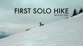 I Took My Dog On An Unforgettable Solo Hiking Adventure