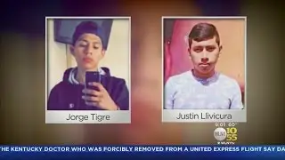Four Bodies Found In Central Islip Park