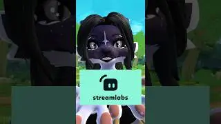 How to use the dolly camera in vrchat using streamlabs #vrchat #furry