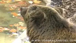 Barcelona ZOO