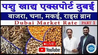 Cattle Feed Export to Dubai Green Millet Export, Maize Export, Rice Husk Export , Wheat Bran Export