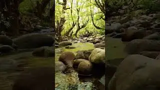 #god #meditation #meditativenature #river #jungle #432hz #magic #camping