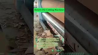 Global Warranty 5 Years? Die Cutting Machines with 24/7 Tech Support! 🌐 Trusted?