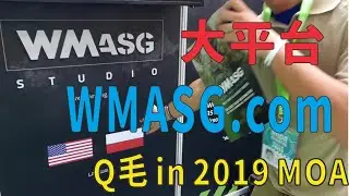 Qmoer Airsoft info /  2019 MOA系列「WMASG.com」