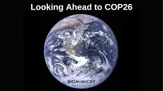 Ask Nature for Solutions to the Climate Crisis: Looking Ahead to COP26
