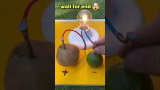 Potato and Lemon Battery | DIY Experiment #youtube #shorts