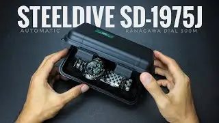 BABY TUNA KANAGAWA‼️ Review Jam Tangan STEELDIVE SD1975J
