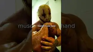 They Discovered A New Muscle..