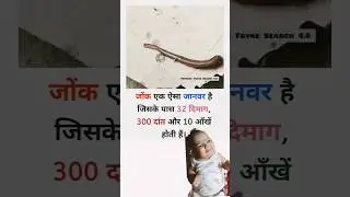 #gk #shortfeed #trend #jok #snake #facts #biology