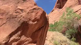 Swiss Cheese Falls in Coyote Gulch