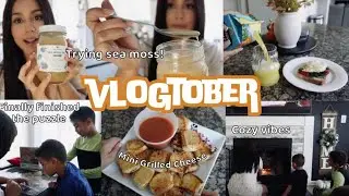 Sea Moss Taste Test, Breakfast, Puzzles by the Fireplace, and Yummy Easy Meals! *vlogtober 2024*