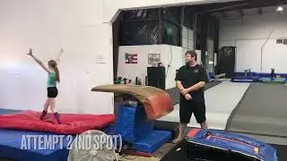 Pre-Team Level 3 Vault
