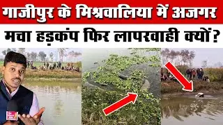 #गाजीपुर के मिश्रवालिया में अजगर मचा हड़कंप फिर लापरवाही क्यों? #breakingnews