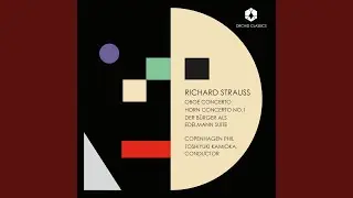 Oboe Concerto in D Major, TrV 292: II. Andante