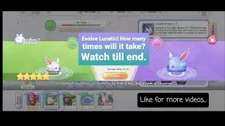 EVOLVE ECLIPSE PET! HOW MANY TIMES NEEDED TO SUCCEED? | Ragnarok X Next Generation ROX