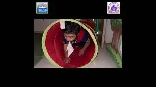 World Animal Day Celebration at Tinyland International School 