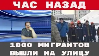 1000 МИГРАНТОВ вышли НА УЛИЦЫ РОССИИ переговоры В АБУ-ДАБИ