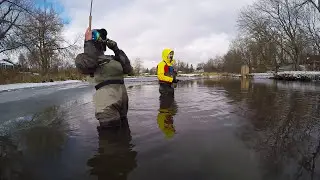 Cobourg Steelhead Fishing | Snowfall Steelies