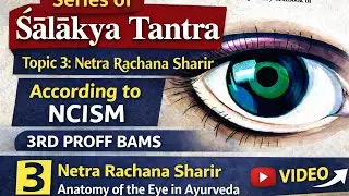 Netra Rachana Sharir ! Anatomy Of Eye 👀 According To Ayurveda! Shalakya Tantra 