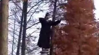 China Wudang Kungfu - Daoist Qigong