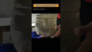 Bongkar progres bunga chana maru di galon 10 bulan 😱‼️#shorts #channa #chanamaru #snakehead