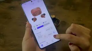 Explore the PIN Companion App Features