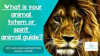 What are Animal Spirit guides, how to connect with your animal totem