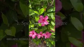 4 self love ideas for you to do today! 🌼 #selfcare #selflove #nature #healthy