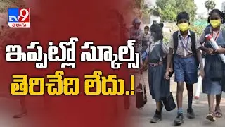 No plan to reopen schools in Tamil Nadu yet - TV9