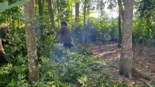 EFFORTLESS TREE BRANCH TRIMMING WITH SMART MODERN FARMING TECHNOLOGY! -agricultural tools