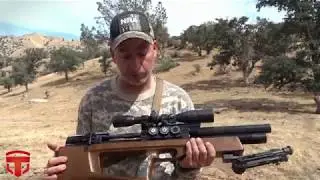Taipan Mutant & Cometa Lynx Varmint Hunt