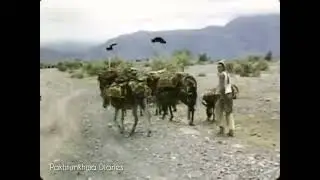 An Old Video of 1950's of Khyber Pakhunkhwa (NWFP). Part 1.