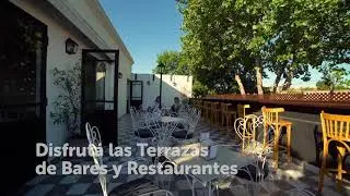 Terrazas de bares y restaurantes