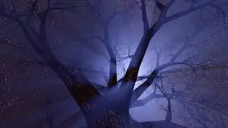 A Night Under the Stars | Peaceful Piano Ambience
