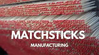 Matches Manufacturing Process | Matches Box Factory Tour | #foryou #youtube