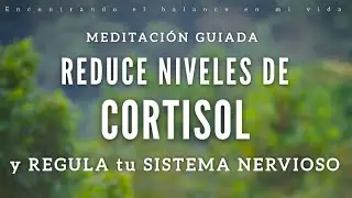 Meditaci&oacute;n guiada Reduce niveles de CORTISOL y Regula tu SISTEMA NERVIOSO 🧠🍃 - 15 minutos 