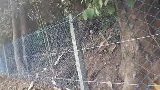 Chain link work at kozhikode repair 9846251999