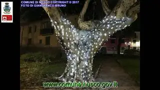 BUONE FESTE DAL COMUNE DI NUSCO