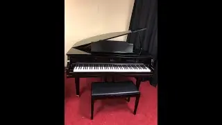 Kimball La Petite 4'5