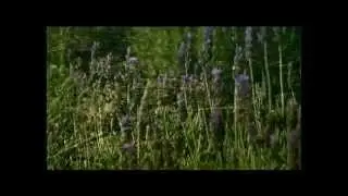 Documental sobre la Red de Viveros Públicos de Andalucía