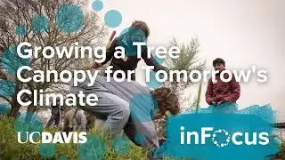 How UC Davis is Growing a Tree Canopy for Tomorrow's Climate