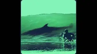 [FREE] DESTROY LONELY X OPIUM TYPE BEAT - 