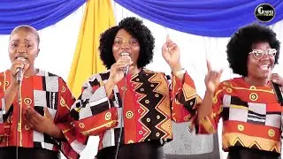 NEBULOSA CELESTIAL /IASD CENTRAL DE VIANA - Batismo e Louvores.  Gospel News. c.i