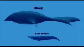 Mysterys explained episode  5 The Bloop