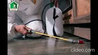 Commercial Pest Control Fyansford | Commercial Pest Control in Fyansford