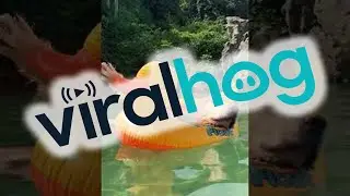 All Good on the Lagoon || ViralHog