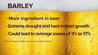 Climate change may cause dramatic beer shortages