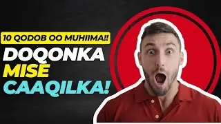 iska ilaali 10 kaan Tilmaam  Ee ay leeyihiin  Dadka Doqomada  Ah ||  Xigmado iyo Xaqiiqooyin